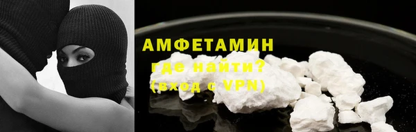 мяу мяу мука Иннополис