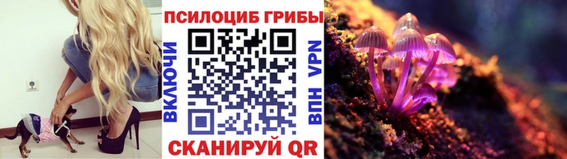 Галлюциногенные грибы MAGIC MUSHROOMS  Курганинск 