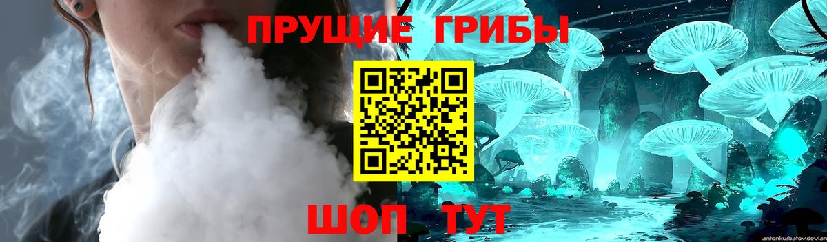 Курганинск  наркота  Вход с VPN  Псилоцибиновые грибы мухоморы 